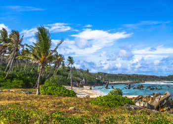 Поережье в Науру редко привлекает туристов – фотографии Науру