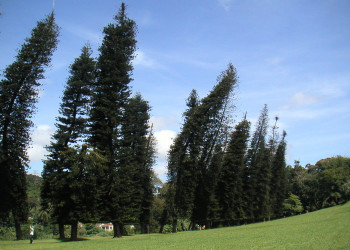 Канди, Шри-Ланка, фото № 51329 – фотографии Шри-Ланки