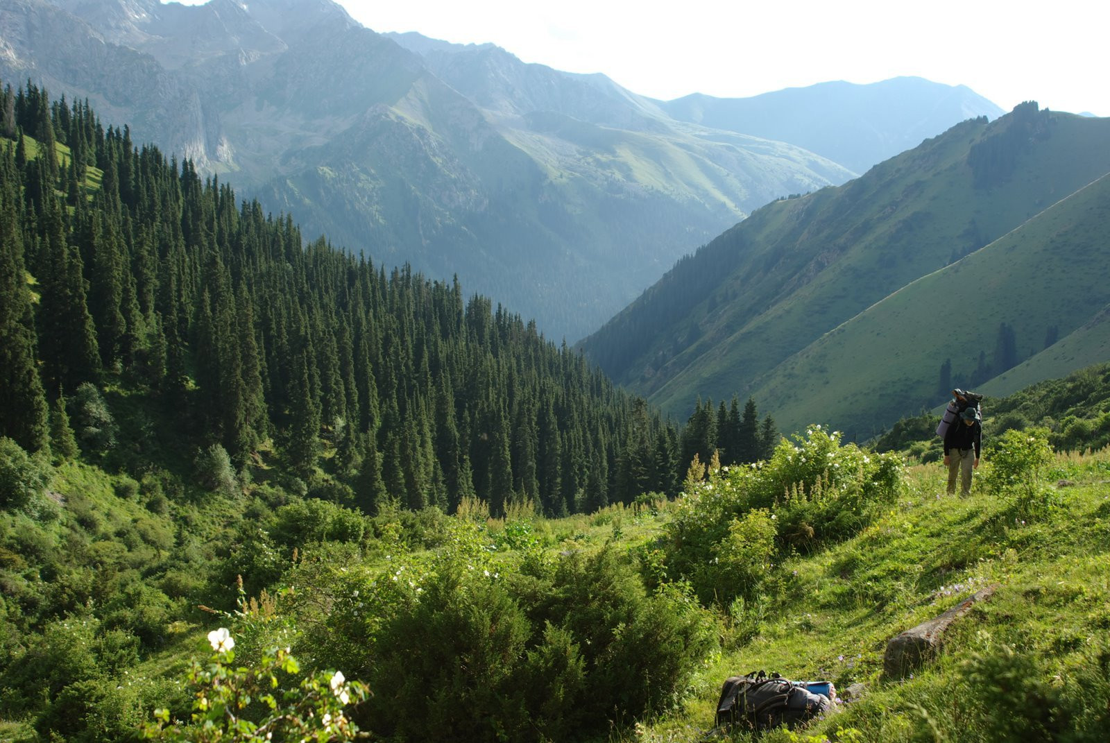 Киргизия, фото № 3223 – фотографии Киргизии