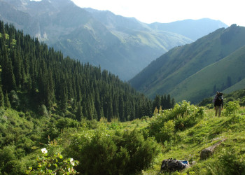 Киргизия, фото № 3223 – фотографии Киргизии