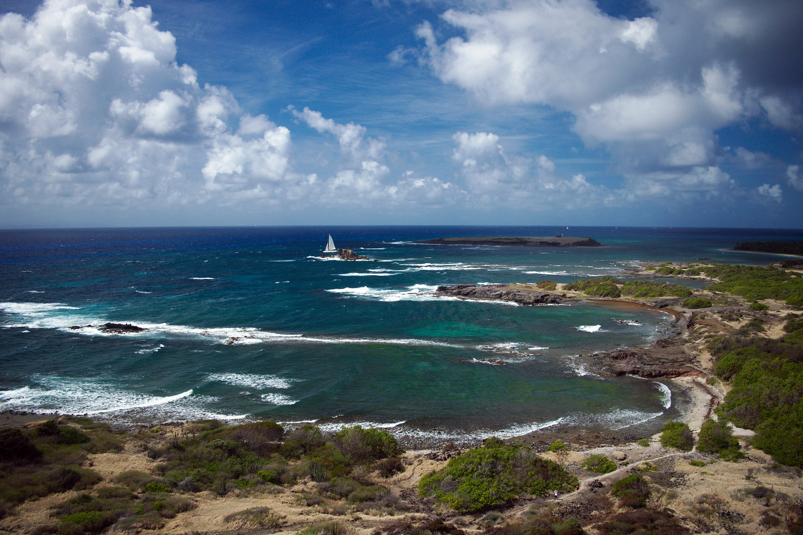 Саванна ископаемых на юге Мартинике – фотографии Мартиники