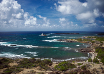 Саванна ископаемых на юге Мартинике – фотографии Мартиники