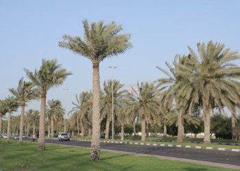 Абу-Даби, ОАЭ, фото № 60656 – фотографии ОАЭ
