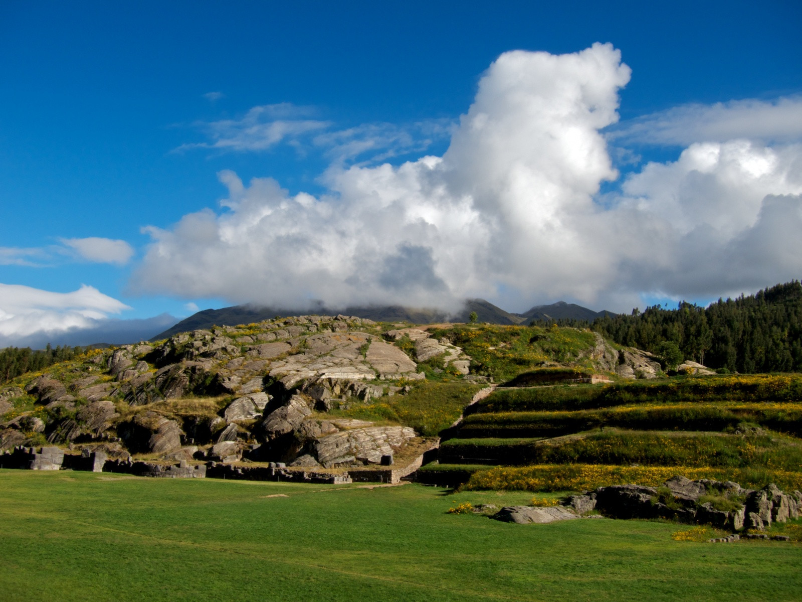 Сытый ястреб – фотографии Перу