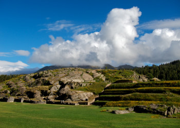 Сытый ястреб – фотографии Перу