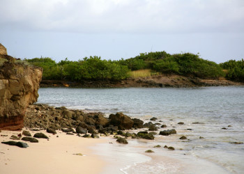 Сент-Ан, Мартиника. Фото 2 – фотографии Мартиники