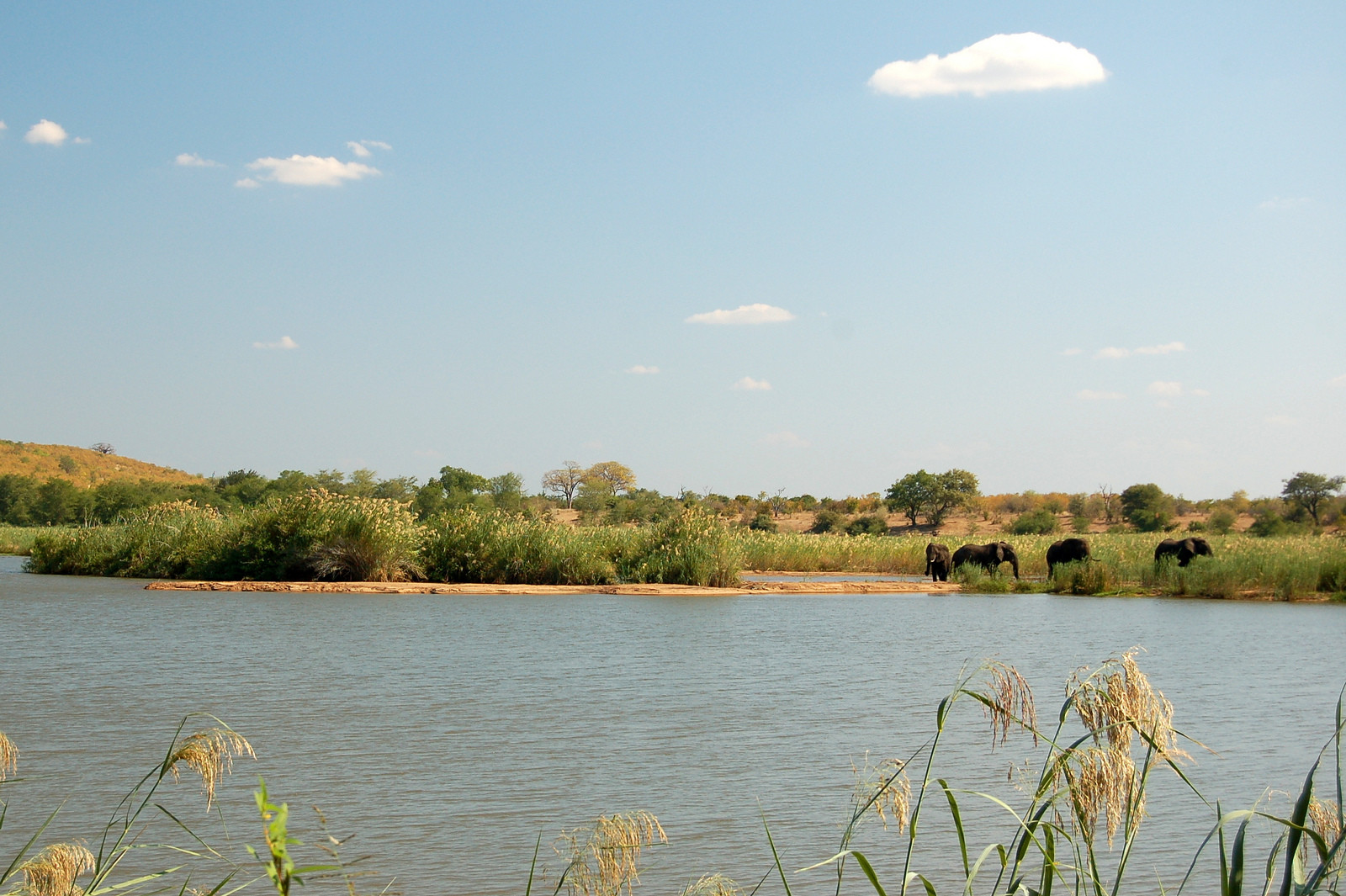 Национальный парк Гонарежу (Gonarezhou), Зимбабве. Фото 7 – фотографии Зимбабве