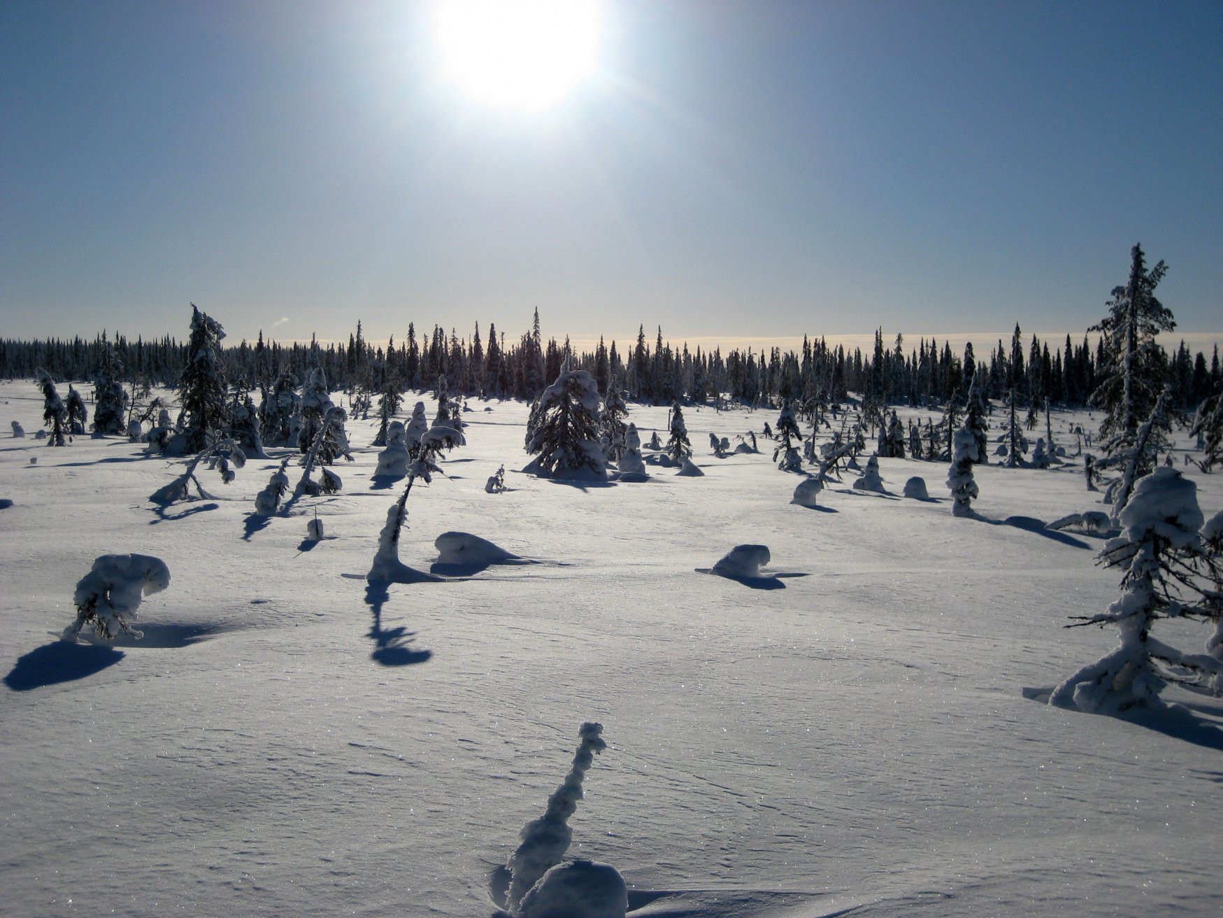 Салла, Финляндия, фото № 75093 – фотографии Финляндии
