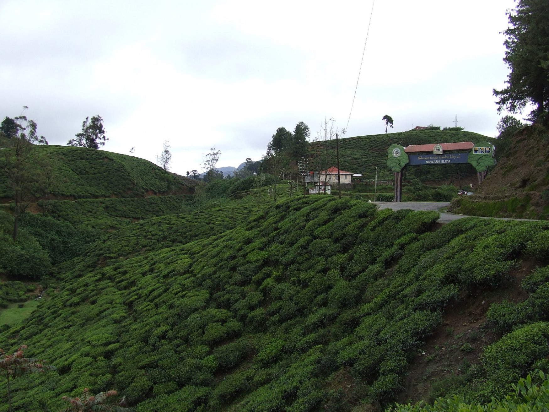 Нувара Элия, Шри-Ланка, фото № 52089 – фотографии Шри-Ланки