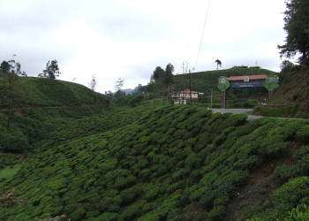 Нувара Элия, Шри-Ланка, фото № 52089 – фотографии Шри-Ланки