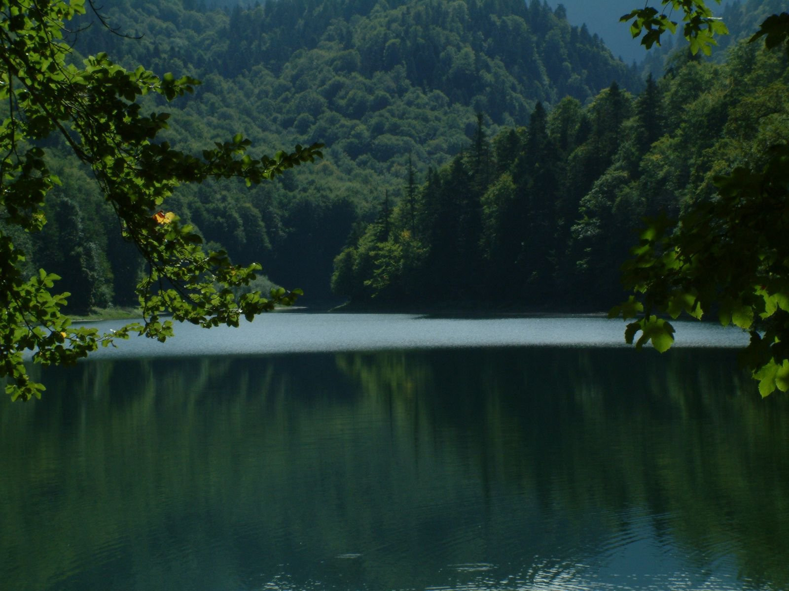 Озеро Национального парка, Черногория. Фото 14 – фотографии Черногории