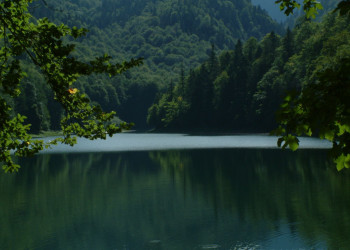 Озеро Национального парка, Черногория. Фото 14 – фотографии Черногории