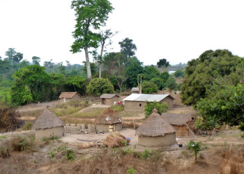 Kamerun – фотографии Камеруна