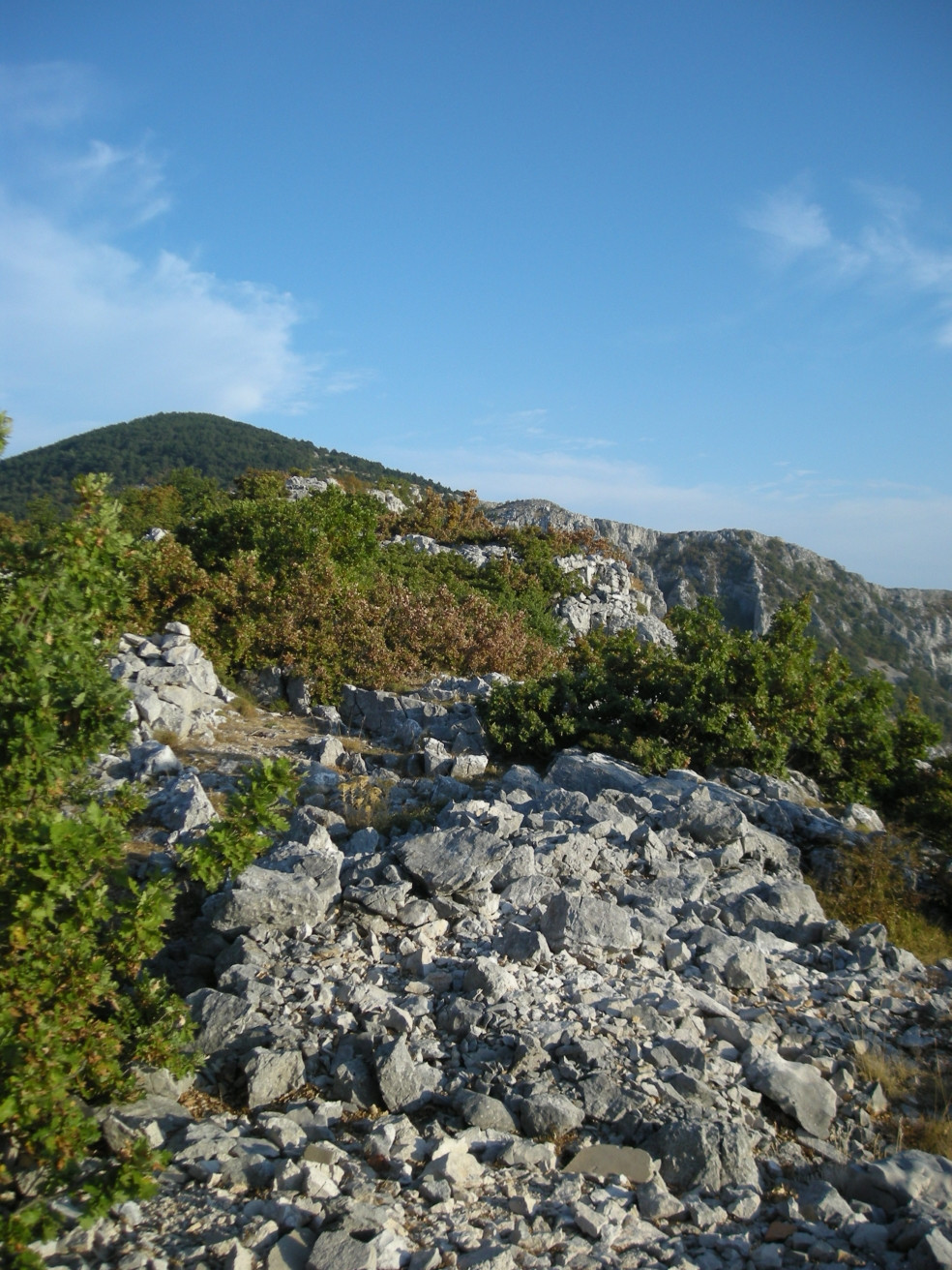 Природный парк, Хорватия. Фото 9 – фотографии Хорватии