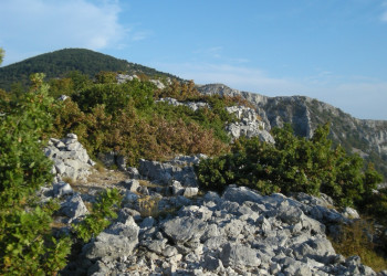 Природный парк, Хорватия. Фото 9 – фотографии Хорватии