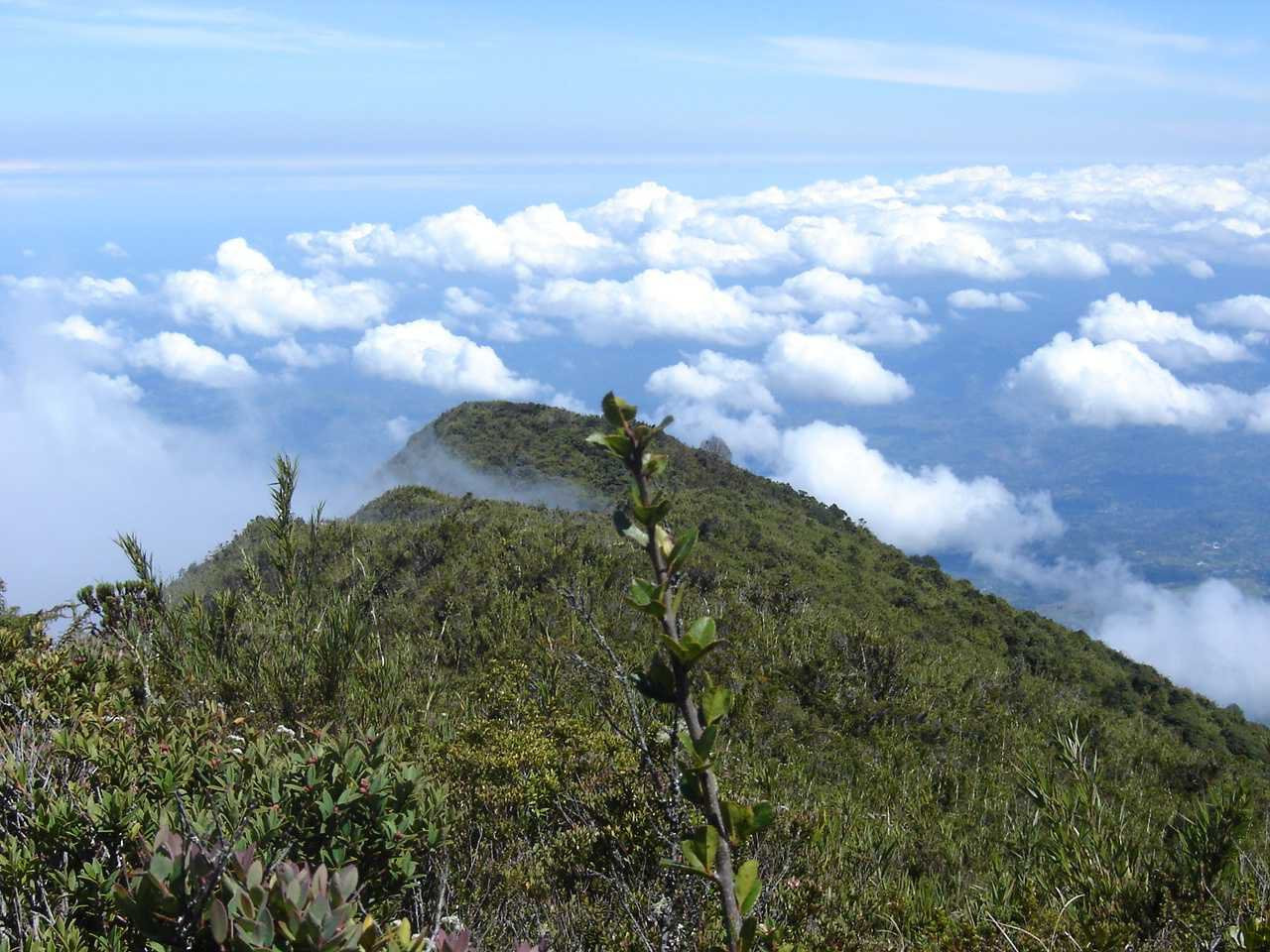 Турриалба Вулкано Национальный Парк, Картаго провинция, Коста-Рика, фото № 39146 – фотографии Коста-Рики