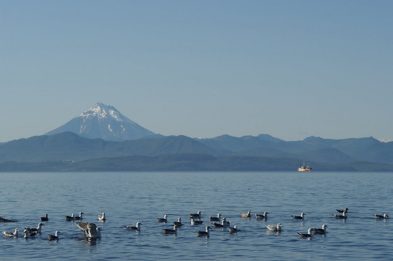 Море в Петропавловск-Камчатский, Россия – фотографии России