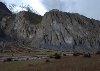 Аннапурна заповедник, Непал, фото № 78909 – фотографии Непала