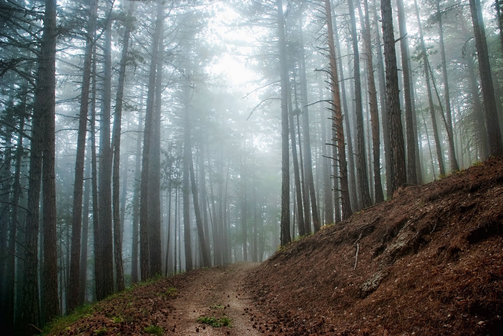 Украина, фото № 3972 – фотографии Украины