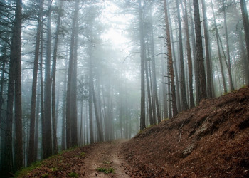 Украина, фото № 3972 – фотографии Украины