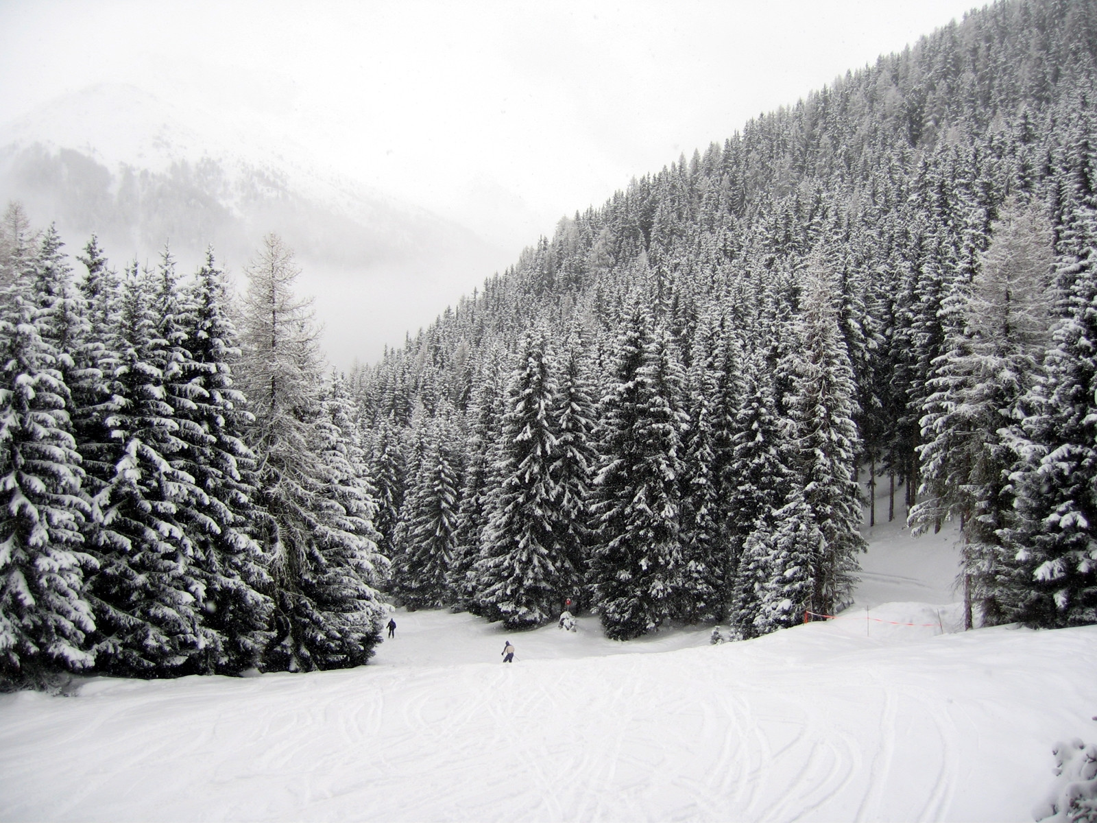 Природа в Ла-Плань, Франция. Фото 2 – фотографии Франции