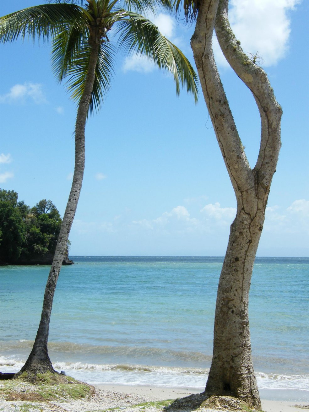 Самана, Доминикана, фото № 30651 – фотографии Доминиканы