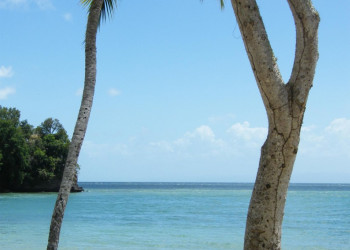 Самана, Доминикана, фото № 30651 – фотографии Доминиканы