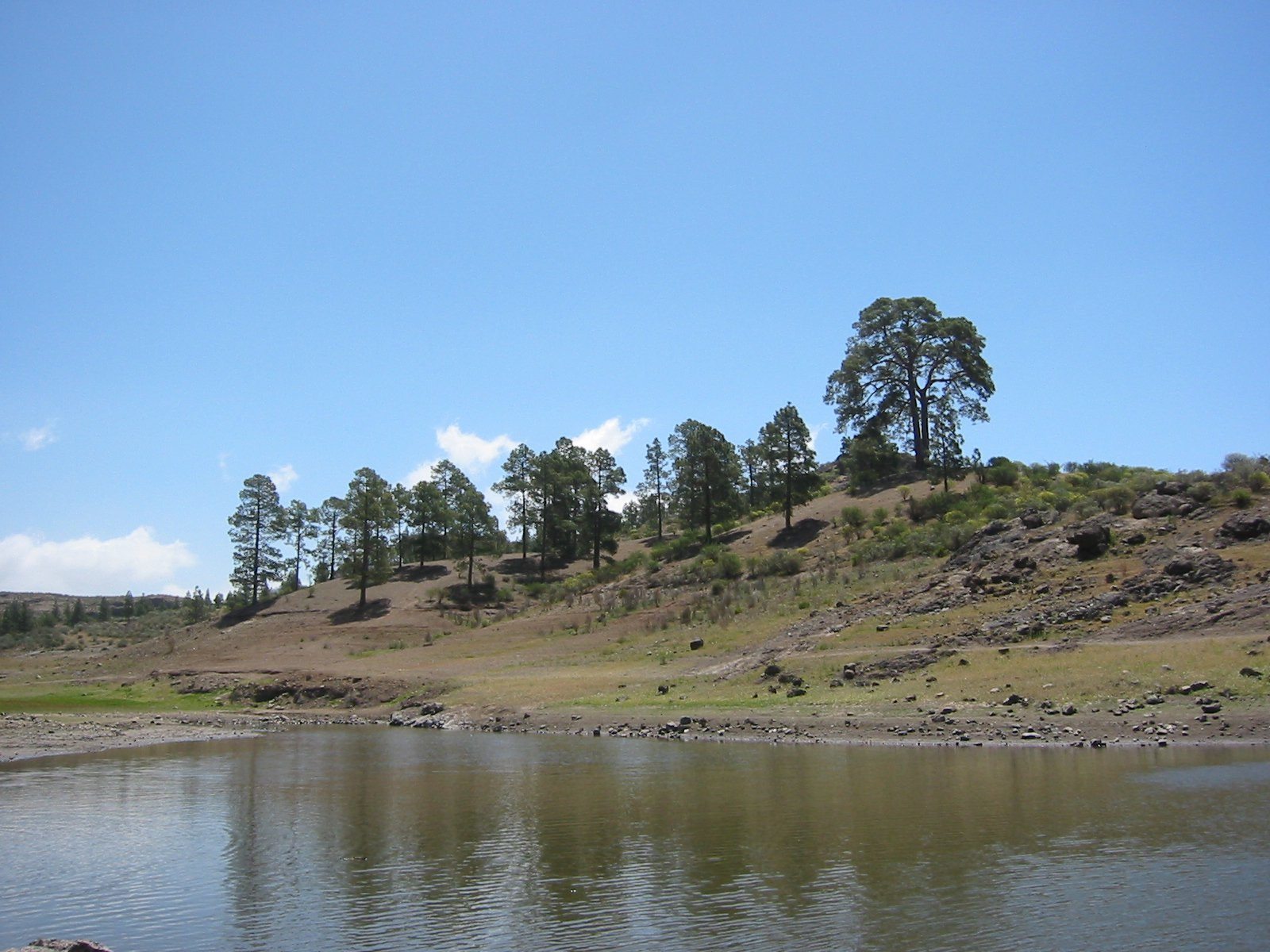 Гран-Канария остров, Канарские острова, фото № 31479 – фотографии Канарских островов