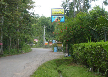 Плайя Чикуита, Лимон провинция, Коста-Рика, фото № 40151 – фотографии Коста-Рики