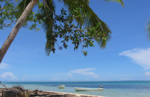 Лелеувиа остров, Вити Леву группа островов, Фиджи, фото № 49748 – фотографии Фиджи