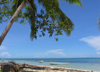 Лелеувиа остров, Вити Леву группа островов, Фиджи, фото № 49748 – фотографии Фиджи