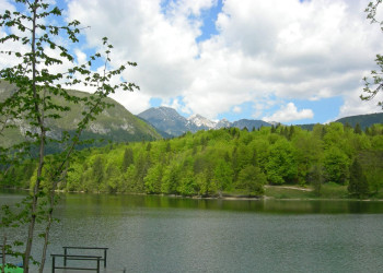 Бохинь Озеро, Словения, фото № 56921 – фотографии Словении