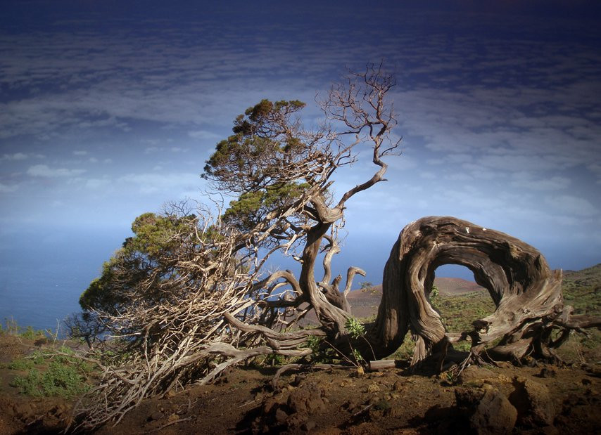 Эль-Йерро остров, Канарские острова, фото № 34667 – фотографии Канарских островов