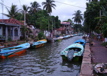 Негомбо, Шри-Ланка, фото № 51931 – фотографии Шри-Ланки