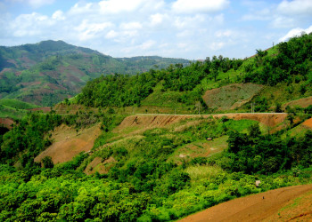 Природа в Чианг-Рай, Тайланд – фотографии Таиланда