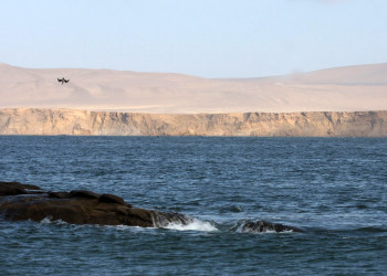 Морское побережье в заповеднике Паракас, Перу – фотографии Перу