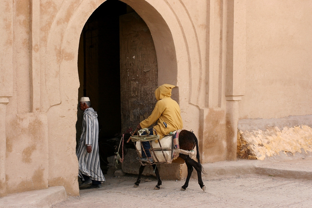 Эрфуд, Марокко, фото № 8726 – фотографии Марокко