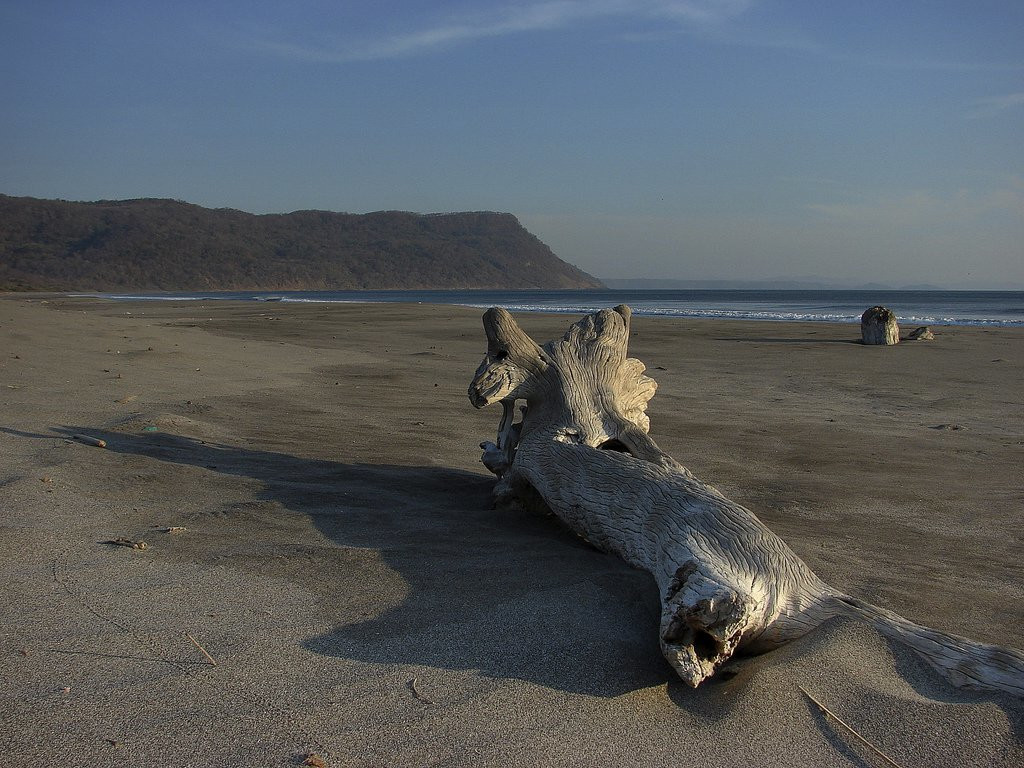 Санта Роза Национальный Парк, Гуанакасте провинция, Коста-Рика, фото № 39339 – фотографии Коста-Рики