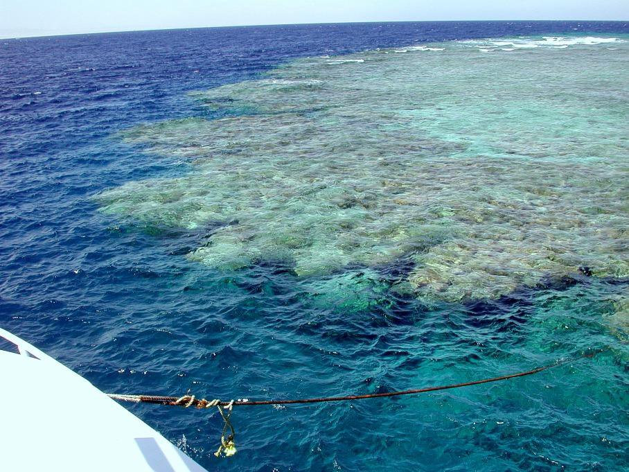 Сома-Бэй, Египет, фото № 35409 – фотографии Египта