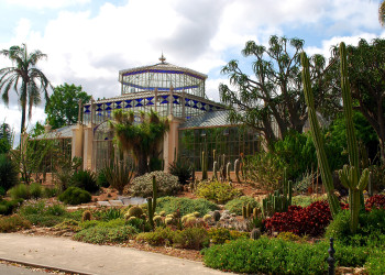 Ботанический сад, Аделаида – фотографии Австралии