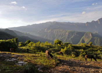 Природа национального парка. Фото 1 – фотографии Эфиопии