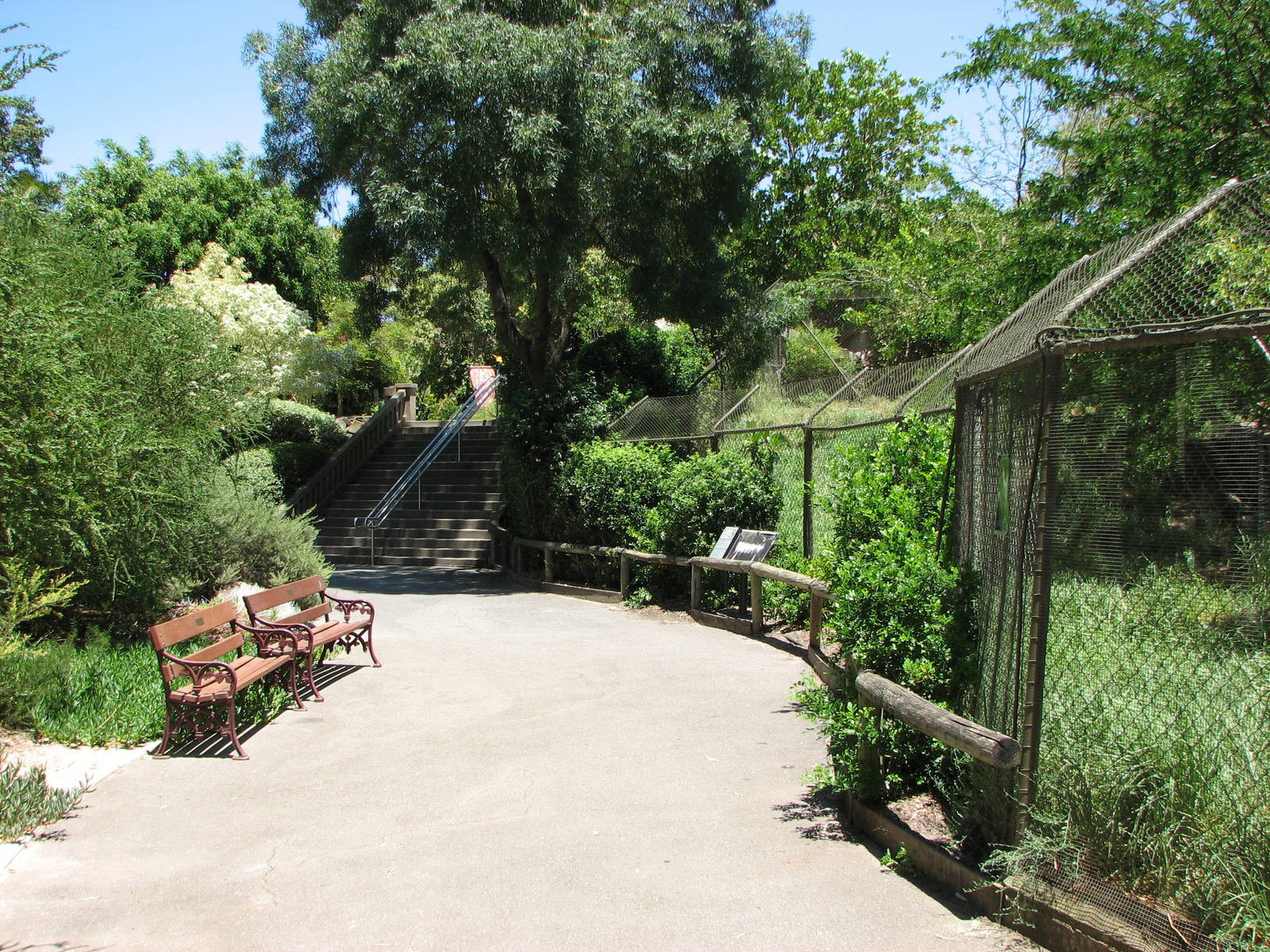 Зоопарк Аделаиды – фотографии Австралии