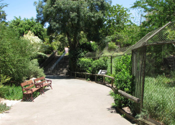 Зоопарк Аделаиды – фотографии Австралии