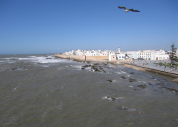 Эссувейра, Марокко, фото № 8838 – фотографии Марокко