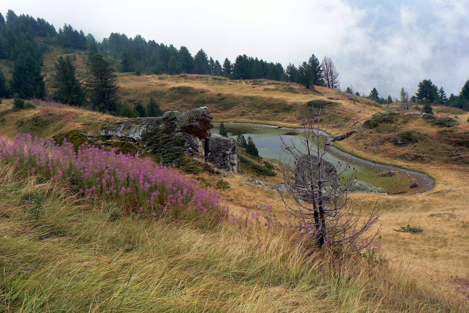 Природа в Проклетие, Черногория. Фото 12 – фотографии Черногории