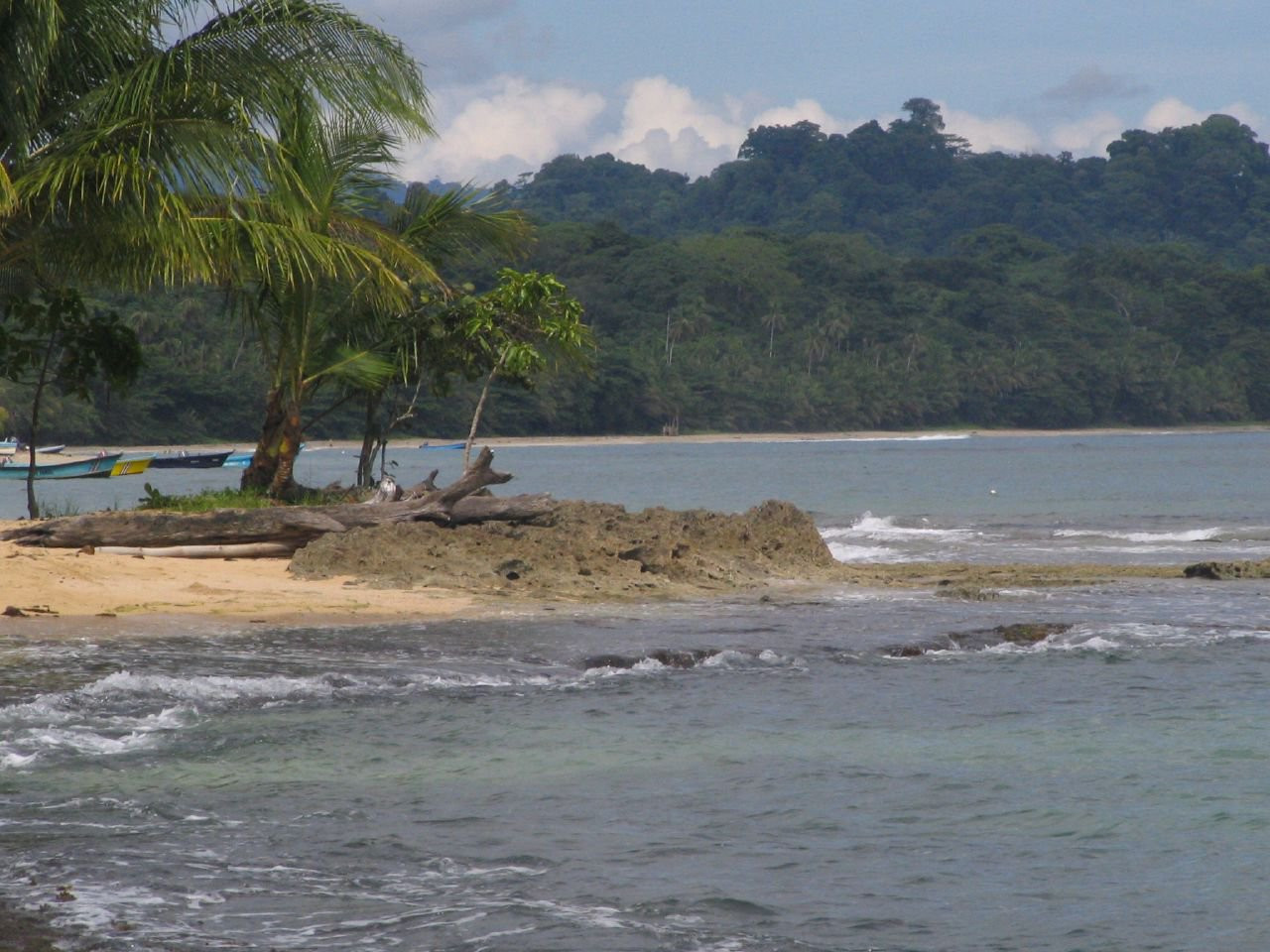 Манзанилло, Лимон провинция, Коста-Рика, фото № 40116 – фотографии Коста-Рики