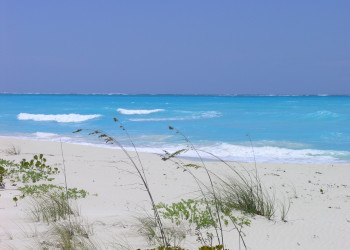 Пляж на острове Кайкос, Тёркс и Кайкос – фотографии Тёркс и Кайкос