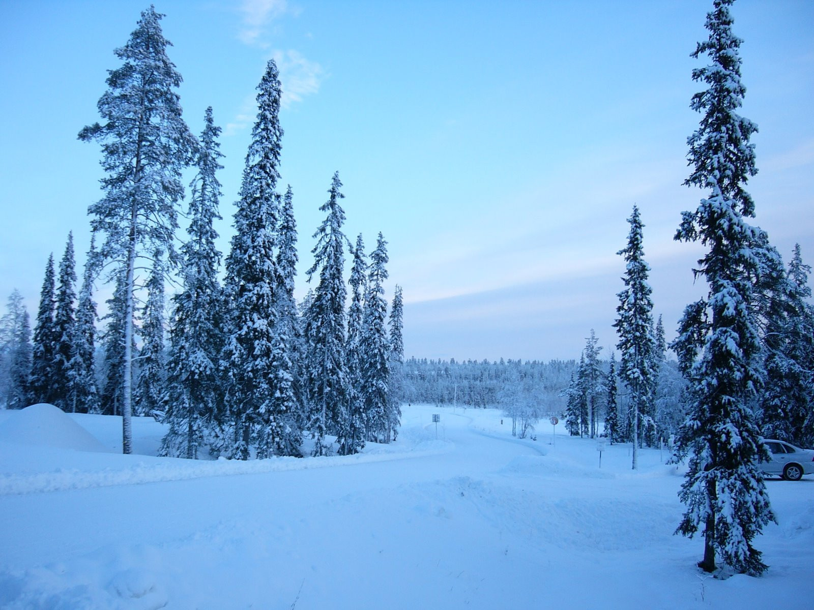 Луосто, Финляндия, фото № 74674 – фотографии Финляндии