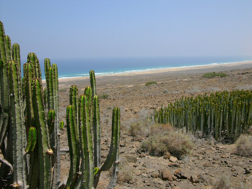 Кофете, Хандия полуостров, Фуэртевентура остров, Канарские острова, фото № 34307 – фотографии Канарских островов