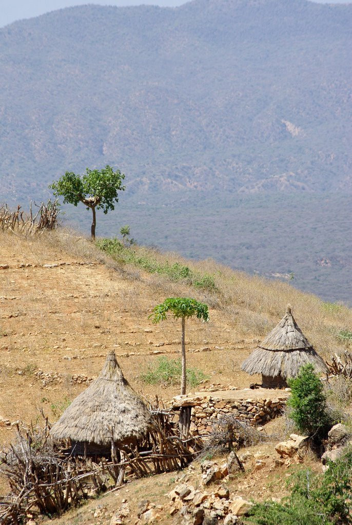 Эфиопское нагорье, Эфиопия. Фото 12 – фотографии Эфиопии